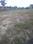 deshmukh bunglow Plot View 2
