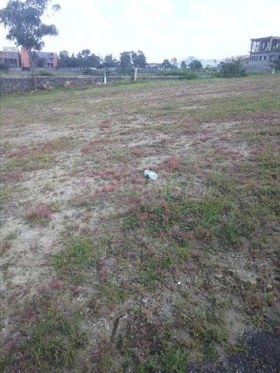 sanjay bunglow Main Image 1