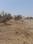 Hinjawadi Phase 2 Plot View 2