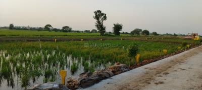 Image of 800 Sq.ft Residential Plot / Land for sale in Surtalai, Jabalpur for Rs. 1450000