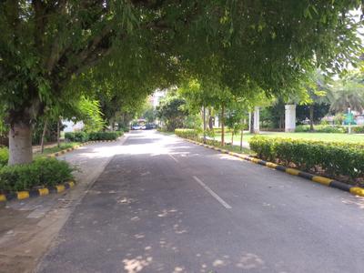 Image of 538 Sq.ft Residential Plot / Land for sale in DLF Alameda, Sector 73, Gurgaon for Rs. 180000000