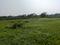 Sonargaon 2 Sonarpur plot project kolkata Main Image 1