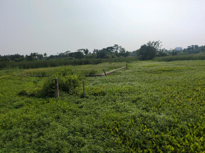 Sonargaon 2 Sonarpur plot project kolkata Main Image 1