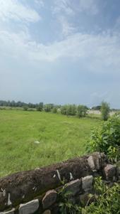 Image of 34020 Sq.ft Residential Plot / Land for sale in Kota Range, Nainital for Rs. 27500000
