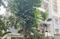 Image of Aditya Dwarakamai_Flat No. 503 in Kondapur, Hyderabad
