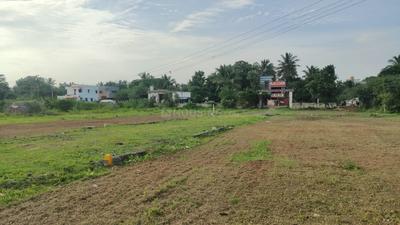Residential Plot