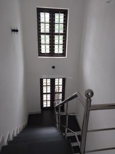 3.5 BHK Villa