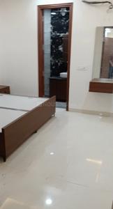Hall Image of 900 Sq.ft 2 BHK Builder Floor for rent in Mukherjee Nagar New Delhi for Rs. 24000