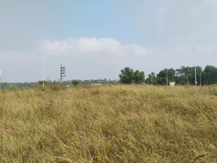 Kumbalgodu State Forest Main Image 1