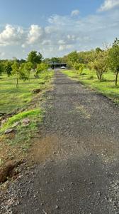 Image of 624 Sq.ft 1 BHK Farm House for sale in Palghar, Mumbai for Rs. 20000000