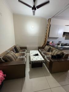 Hall Image of 903 Sq.ft 2 BHK Apartment / Flat for rent in Gillco Palms, Sector 115 Mohali for Rs. 25000