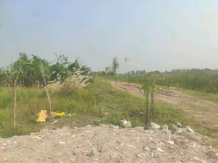 Metroplex City Main Image 1