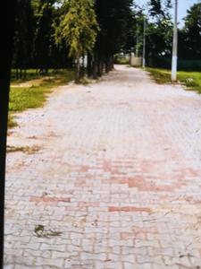 Image of 682 Sq.ft Residential Plot / Land for sale in DLF Phase 2, DLF Phase 2, Gurgaon for Rs. 330000000