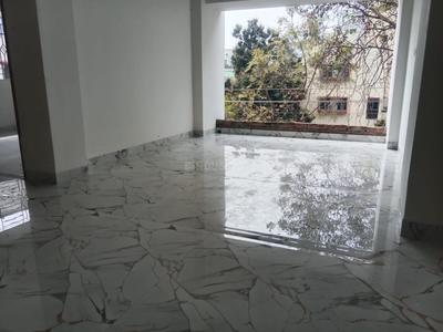 Hall Image of 1160 Sq.ft 3 BHK Apartment / Flat for sale in Haltu Kolkata for Rs. 8657000
