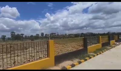 Image of 1200 Sq.ft Residential Plot / Land for sale in Rajgir, Nalanda for Rs. 1200000