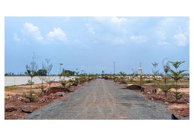 Sunsiri Projects The Rise Plot View 3
