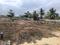 Devanahalli Plot View 2