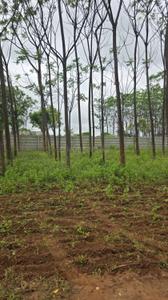 Image of 9000 Sq.ft Residential Plot / Land for sale in Kamsanpalle, Narayanpet for Rs. 7500000
