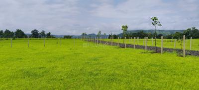 Image of 11000 Sq.ft Residential Plot / Land for sale in Shahapur, Thane for Rs. 2199999