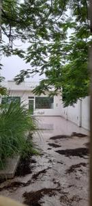 Lagerstroemia Estate Plot View 2