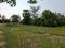 Golden city 2 Plot View 2