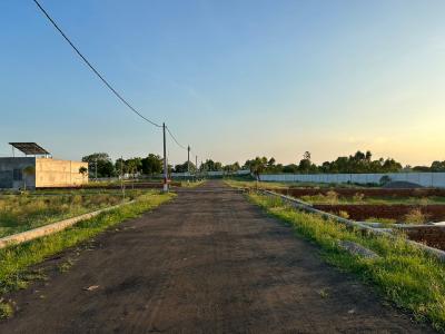 Katibagiya Plot View 3