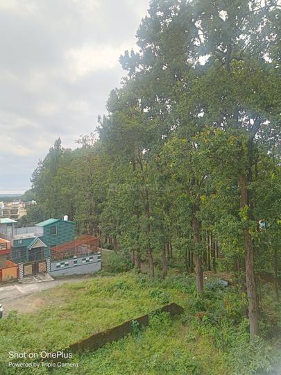 215 gaj plot Dalanwala Main Image 1