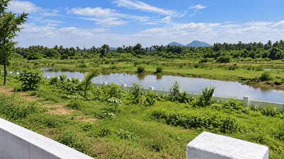 Image of 1350 Sq.ft Residential Plot / Land for sale in Bhogapuram, Vizianagaram for Rs. 2900000