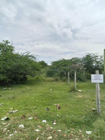 Kanchipuram Main Image 1