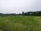 Sonargaon 2 plot project kolkata Plot View 1