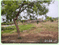Amalapada Main Image 1