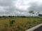 Pashambanda Plot View 1