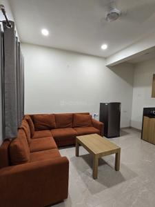 Hall Image of 550 Sq.ft 1 BHK Builder Floor for rent in Nipania Indore for Rs. 20000