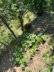 Image of 8640 Sq.ft 3 BHK Independent House for sale in Almora Range, Almora for Rs. 5000000