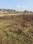 Individual Plot for sale near Banthra Bazar Main Image 1
