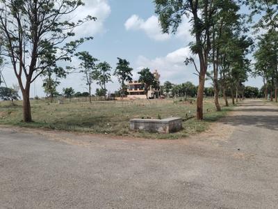 Magnolia Valley Woods Plot View 2