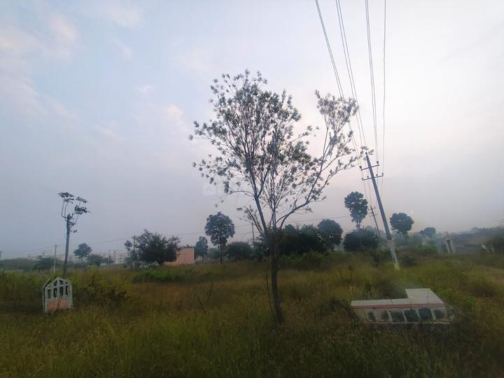 Kukkanahalli Main Image 1