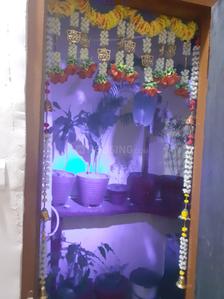 Kitchen Image of 520 Sq.ft 1 BHK Apartment / Flat for sale in Bagmugaliya Bhopal for Rs. 1550000