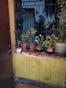 Balcony Image of 1240 Sq.ft 4 BHK Apartment / Flat for sale in Bally Howrah for Rs. 6000000