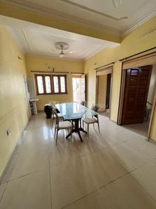 Hall Image of 1600 Sq.ft 3 BHK Apartment / Flat for rent in Lalpur Ranchi for Rs. 30000