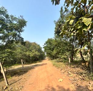 Image of 6000 Sq.ft Residential Plot / Land for sale in Mopka, Bilaspur for Rs. 24000000