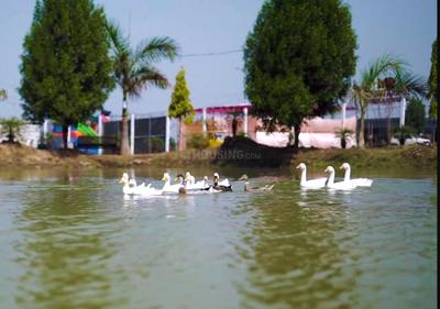 Image of 1500 Sq.ft Residential Plot / Land for sale in Sikola Bhata, Durg for Rs. 1950000