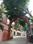 Ashoka Lakeview residency Main Image 1