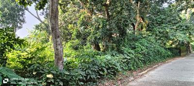 Image of 4320 Sq.ft Residential Plot / Land for sale in Chandannagar, Hooghly for Rs. 3200000