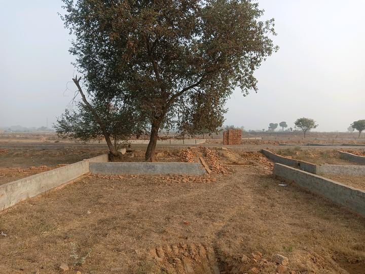 Del NCR Nature Valley Main Image 1