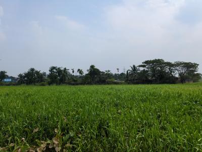 Image of 720 Sq.ft Residential Plot / Land for sale in Wander Valley, Joka, Kolkata for Rs. 255664