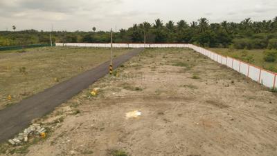 Annur Plot View 3
