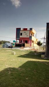 Plot View