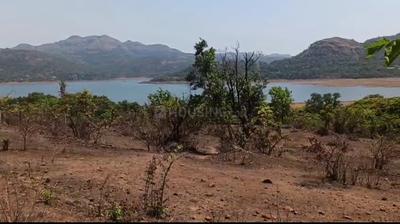 Image of 11000 Sq.ft Residential Plot / Land for sale in Mulshi, Pune for Rs. 3500000