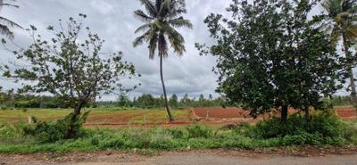 Image of 1170 Sq.ft 3 BHK Farm House for sale in Doddaballapura, Bengaluru for Rs. 5000000